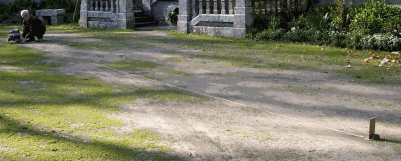Image2.gif