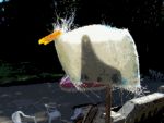 Image44.gif