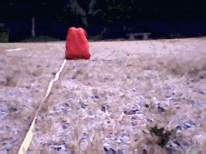 Image52.gif