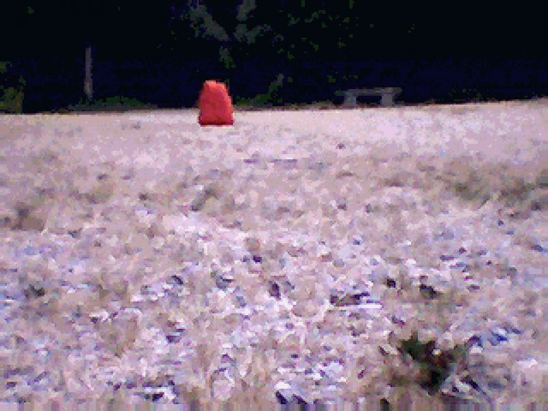 Image54.gif