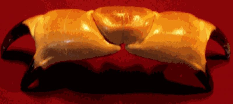 Image67.gif