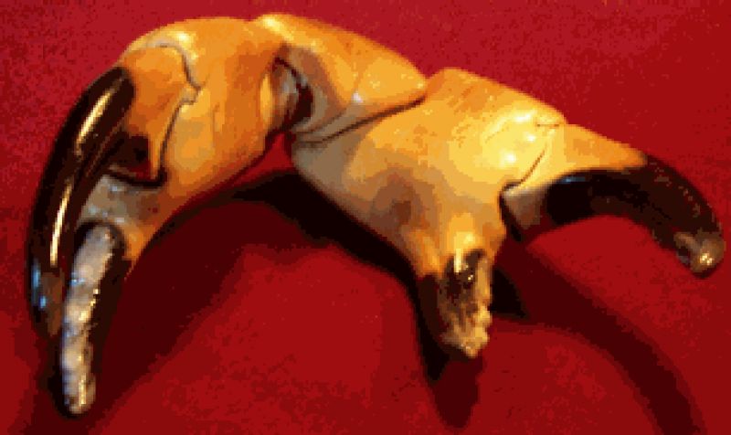 Image69.gif