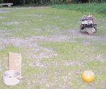 Image78.gif