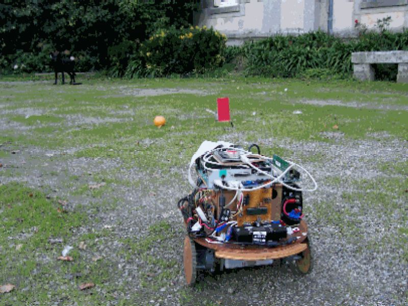 Image79.gif
