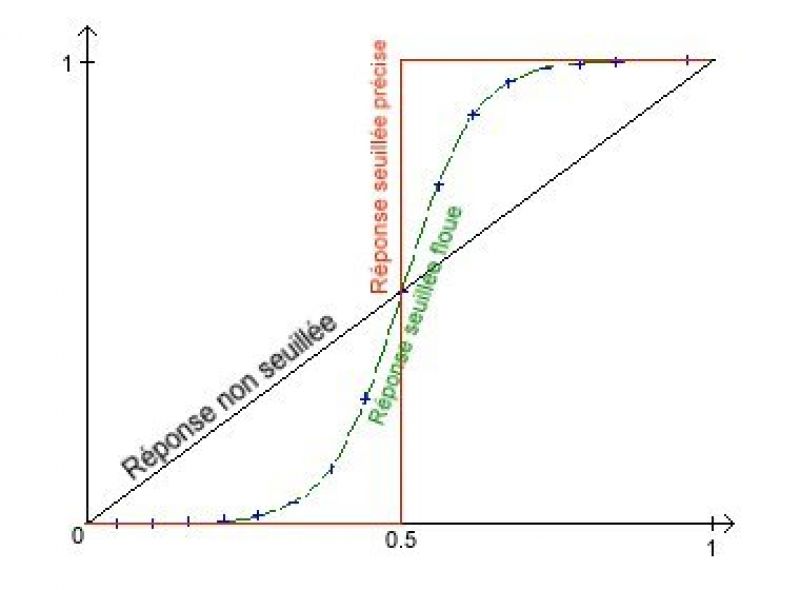 Sigmoide.jpg