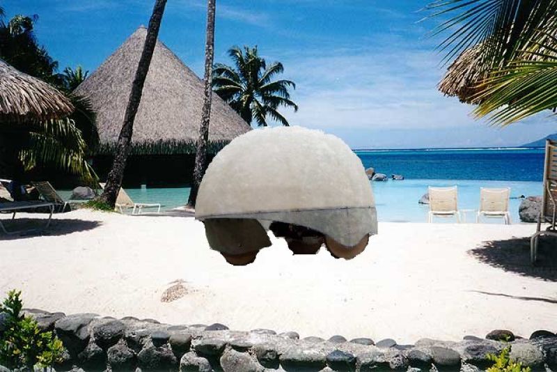 tahiti1.jpg
